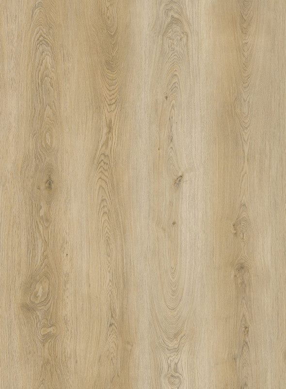 Vinylgulv i Plank - Lys Eg - Dryback - 5337
